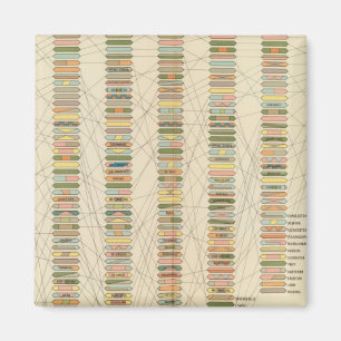 7 Rank, steden 17901890 Magneet