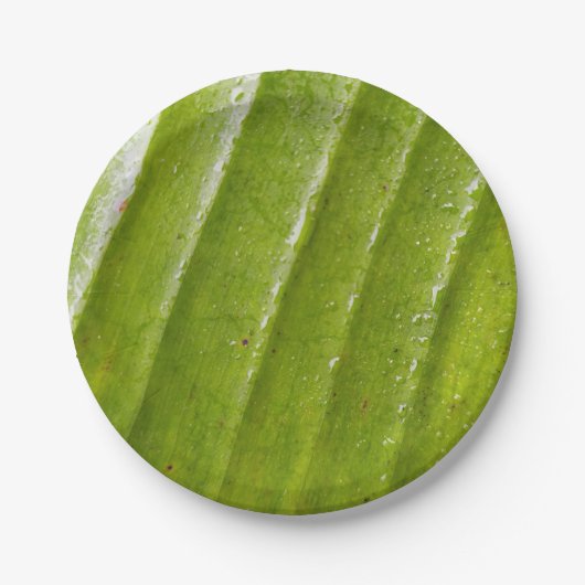7"Rond Document Bord met Zuiver Bananenblad (Voorkant)