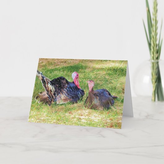 7 x5-inch gevouwen kaart | | Gobble Gobble (Voorkant)