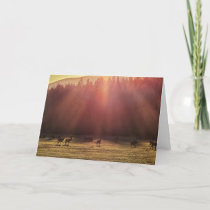 7 x5-inch gevouwen kaart    Red Dawn Elk