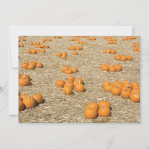 7x5 Thanksgiving Kaart