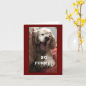 **80e BIRTHDAY WENS VAN COMEDIC SPANIEL** Kaart (Gele Bloem)