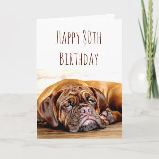80e verjaardag Zad Dog Blijf pooitief Humor Kaart