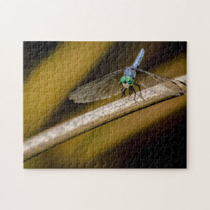 8379-Blue Dragonfly op een Reed in Pond Puzzel