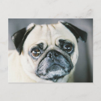 850203-R1-017-7 BRIEFKAART