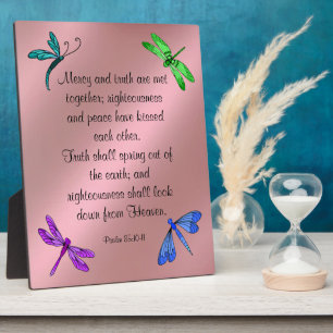 85:10-11 Plaque Fotoplaat