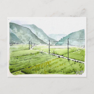 86: Morgen rijstveld Briefkaart