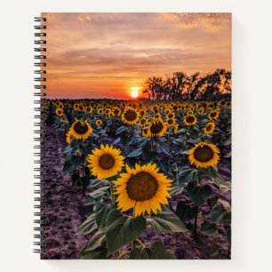 8,5 x 11 Notitieboek
