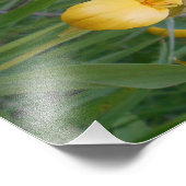 8,5x11 Foto afdrukken Foto Afdruk (Hoek)