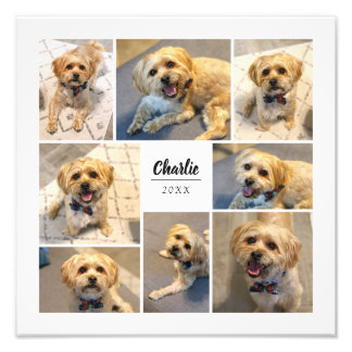 8 Collage photo Impression photo personnalisée