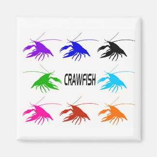 8 crawfish magneet