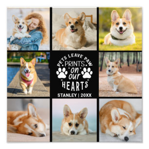 8 Foto Collage Pet Herdenking Foto Uitbreiding Foto Afdruk
