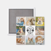 8 Fotocollage Huisdierherdenking Gedenkteken Magneet (Voorkant / Achterkant)