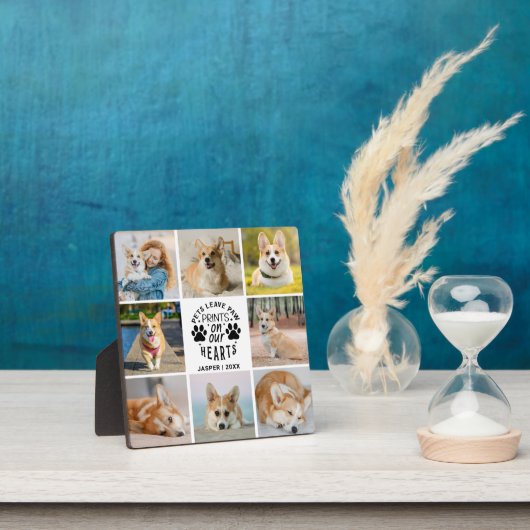 8 Herdenking van het herdenkingsprogramma voor col Fotoplaat (Insitu)