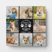 8 Herdenking van het herdenkingsprogramma voor col Fotoplaat (Voorkant)