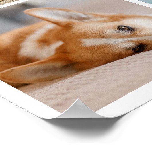 8 Herdenking van het herdenkingsprogramma voor col Poster (Hoek)