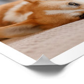 8 Herdenking van het herdenkingsprogramma voor col Poster (Hoek)