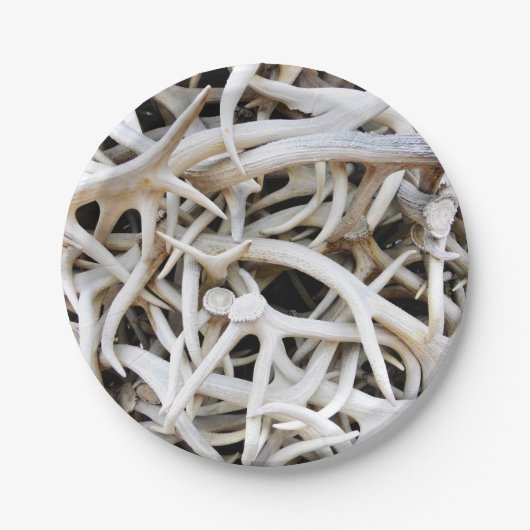 8 Papier Bord Elk Antlers (Voorkant)