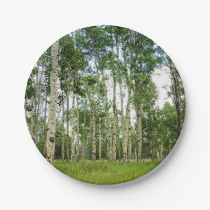 8 Papieren Borden Quaking Aspens Bordje