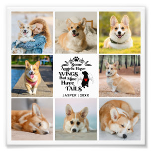 8 Photo Collage Animaux de compagnie Chien Perdre