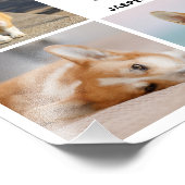 8 Photo Collage Animaux de compagnie Souvenir Élar (Coin)