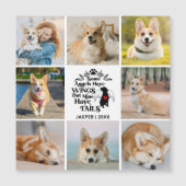 8 Photo Collage Perte de chien Souvenir Carte magn (Devant)