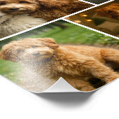 8 Photo Custom Personalized Template Collage (Coin)