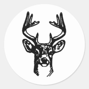 8-punts Buck White Tail Deal Ronde Sticker