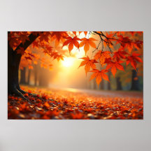 8K Pracht van de Natuur: Ultra-HD Landschappen & S