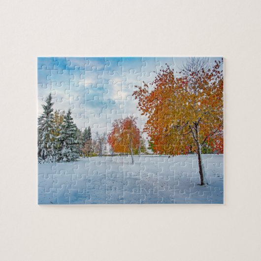 8x10, 110 stuks, puzzel (Horizontaal)