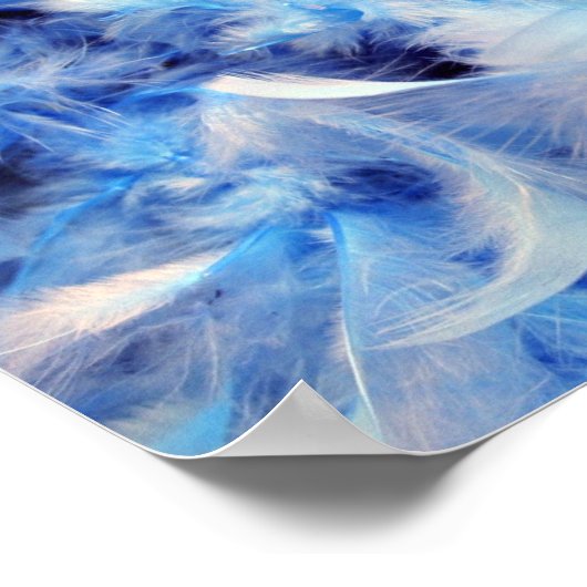 8x10 Fluffy Feathers Poster (Hoek)