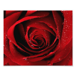 8x10 Fotoafdrukken Foto Afdruk