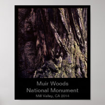 8x10 - Muir Bossen National Monument Color (Dark)