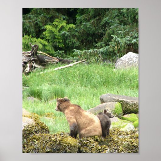 8x10 Poster papier (Matte) met grizzly beer & krab (Voorkant)