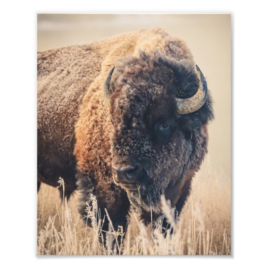 8x10 Print - Frosty Morning Foto Afdruk (Voorkant)