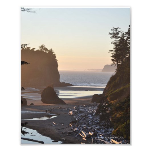8x10 Ruby Beach on the Pacific Ocean Foto Afdruk (Voorkant)