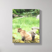 8x10 Stretched Canvas Afdrukken met grizzly beer & (Voorkant)