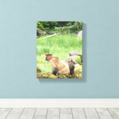8x10 Stretched Canvas Afdrukken met grizzly beer & (Insitu (Houten vloer))