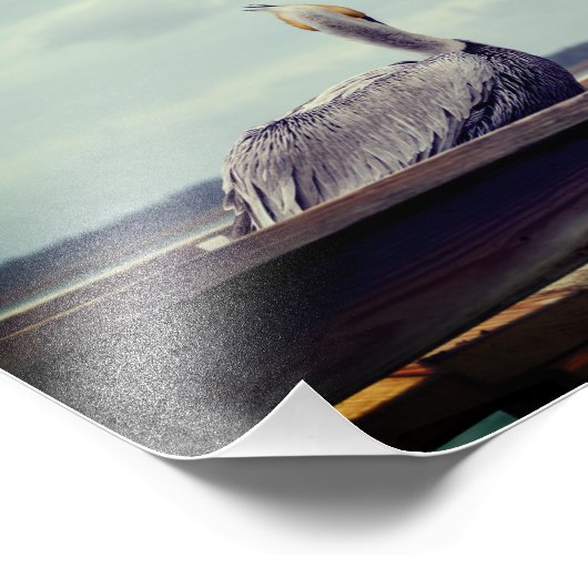 8x12 Foto - "Chillin' Pelican" St. Augustine, FL Afdruk (Hoek)