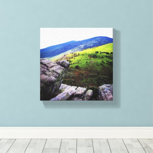 8x8 Canvas - Roan Mountain (Insitu (Houten vloer))
