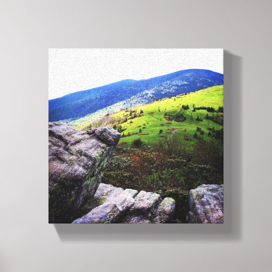 8x8 Canvas - Roan Mountain (Voorkant)