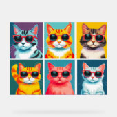 90 katten in goedkope zonnebril acryl bord (Voorkant)