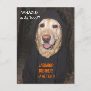  90 lb. Lab in Hoodie Briefkaart