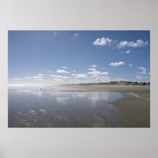 90 Mile strand Poster (Voorkant)
