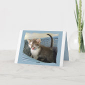 90ste verjaardag Crazy Kitten Kaart (Achterkant)