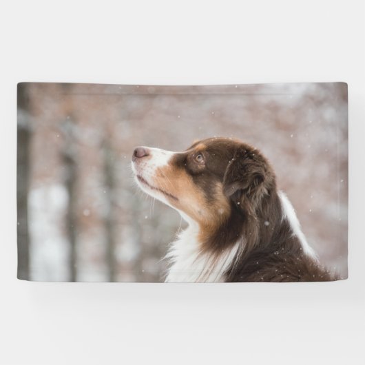 91 x 152 cm spandoek (Horizontaal)