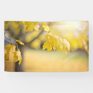 91 x 152 cm spandoek