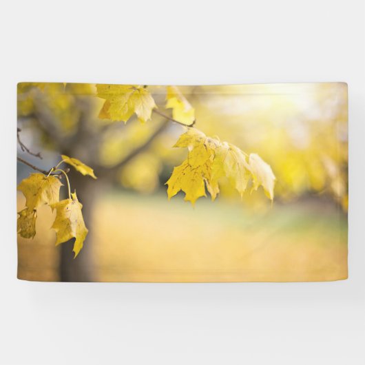 91 x 152 cm spandoek (Horizontaal)