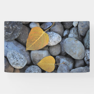 91 x 152 cm spandoek