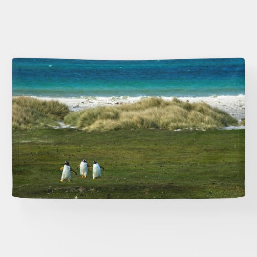 91 x 152 cm spandoek (Horizontaal)